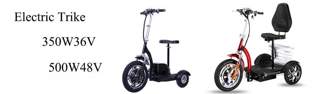 48V 500W Motor Power Adult Foldable Tricycle 3 Wheels Scooter Stand up Electric Scooter