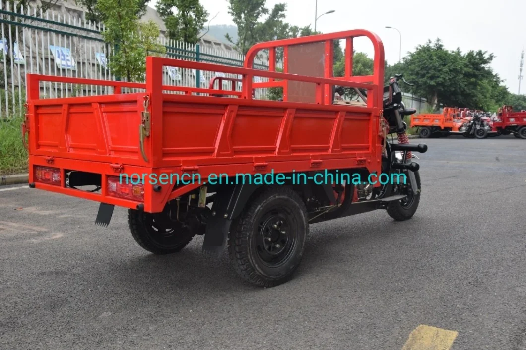 Three Wheel Gasoline Motorcycle Big Tricycle with Cargo Box C4 11