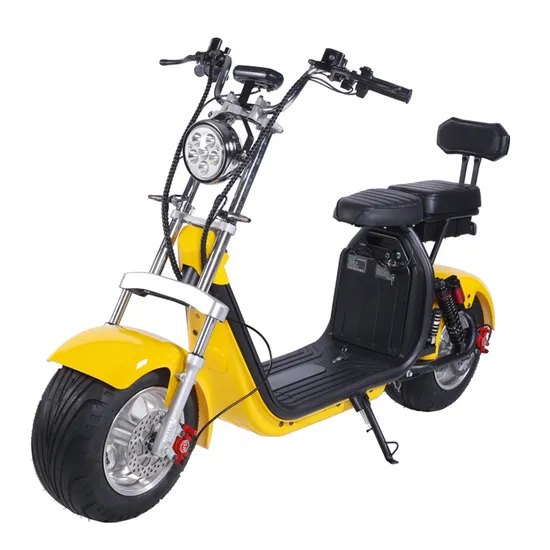 Citycoco Scooter électrique 2 roues avec gros pneu populaire 2000W 60V CE avec batterie au lithium amovible 1500W-2000W 30-50km/H 6-8h