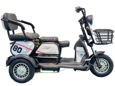 Tricycle de scooter électrique fabriqué en Chine moto à trois roues avec siège réglable